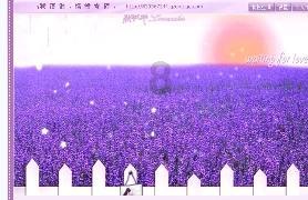 我被男神问候了