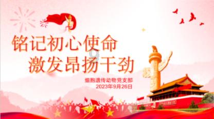 沈阳八一早市买鱿鱼被骗事件调查